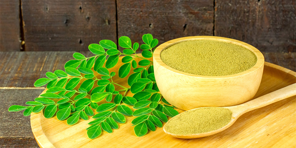 Naturkräuter und Nahrungsergänzungsmittel Frisches Moringa Pulver