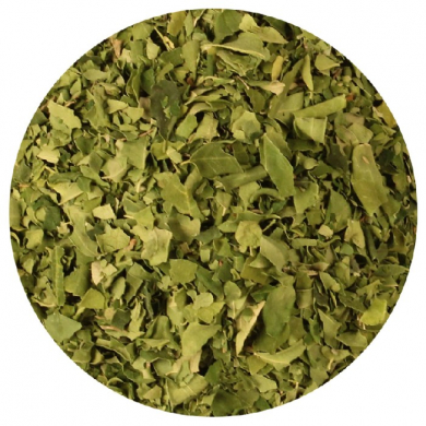 Moringa Oleifera